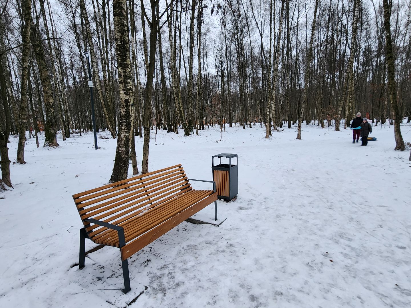 Чехов, микрорайон Губернский, лесопарк, парковая зона отдыха, строительство, благоустройство, детские площадки, спортивные площадки, беседки, программа Парки в лесу, губернатор московской области, вертикалки,