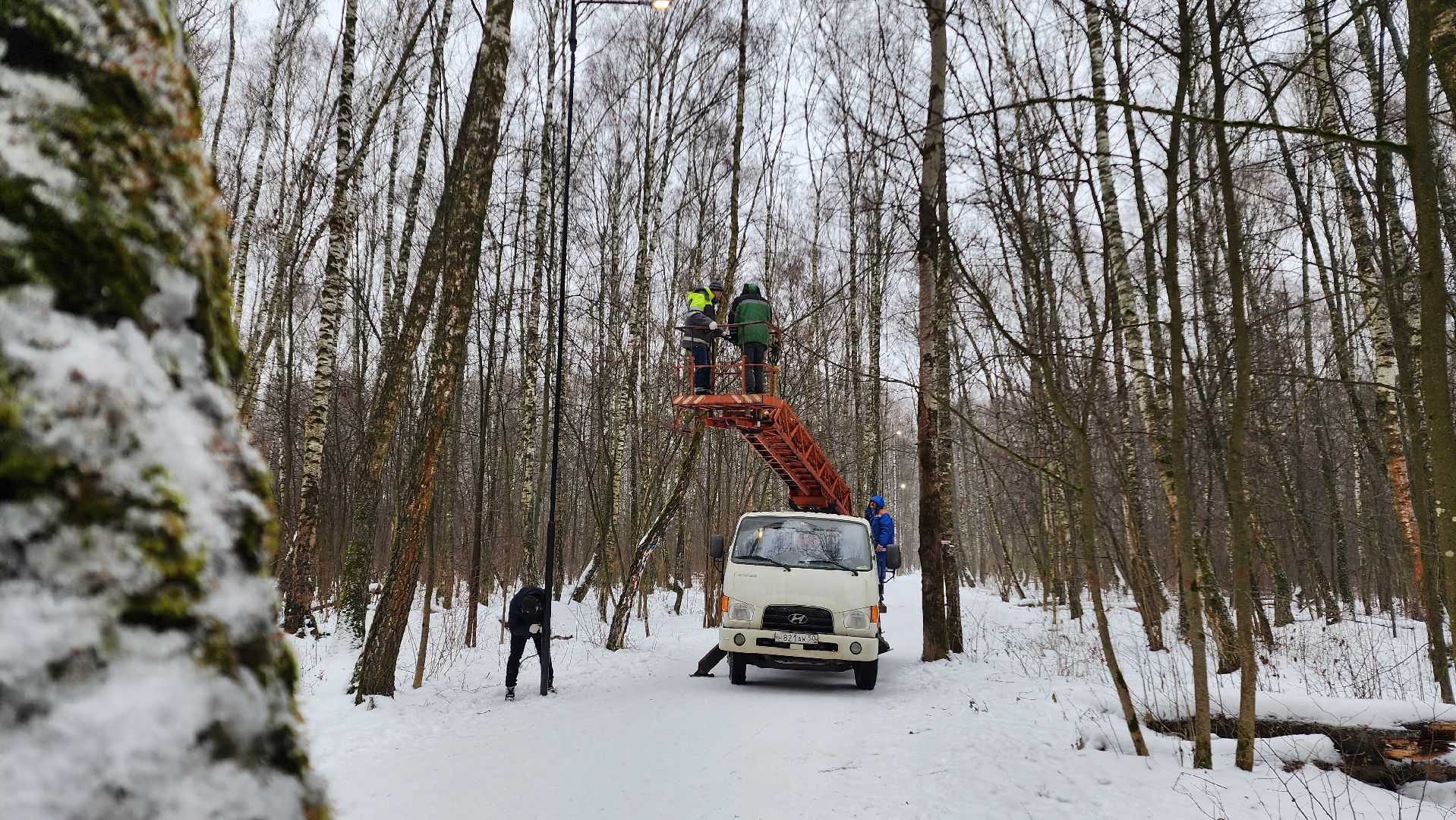 парк, парк городской лес, домодедово, жкх, благоустройство, подмосковье,