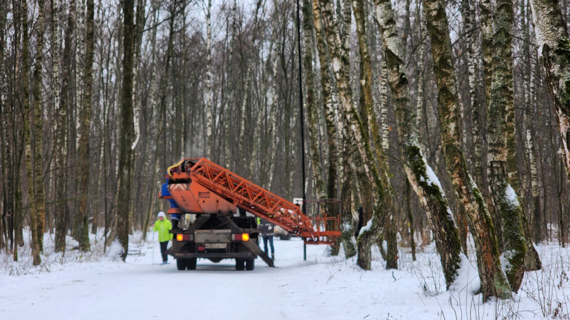 парк, парк городской лес, домодедово, жкх, благоустройство, подмосковье,