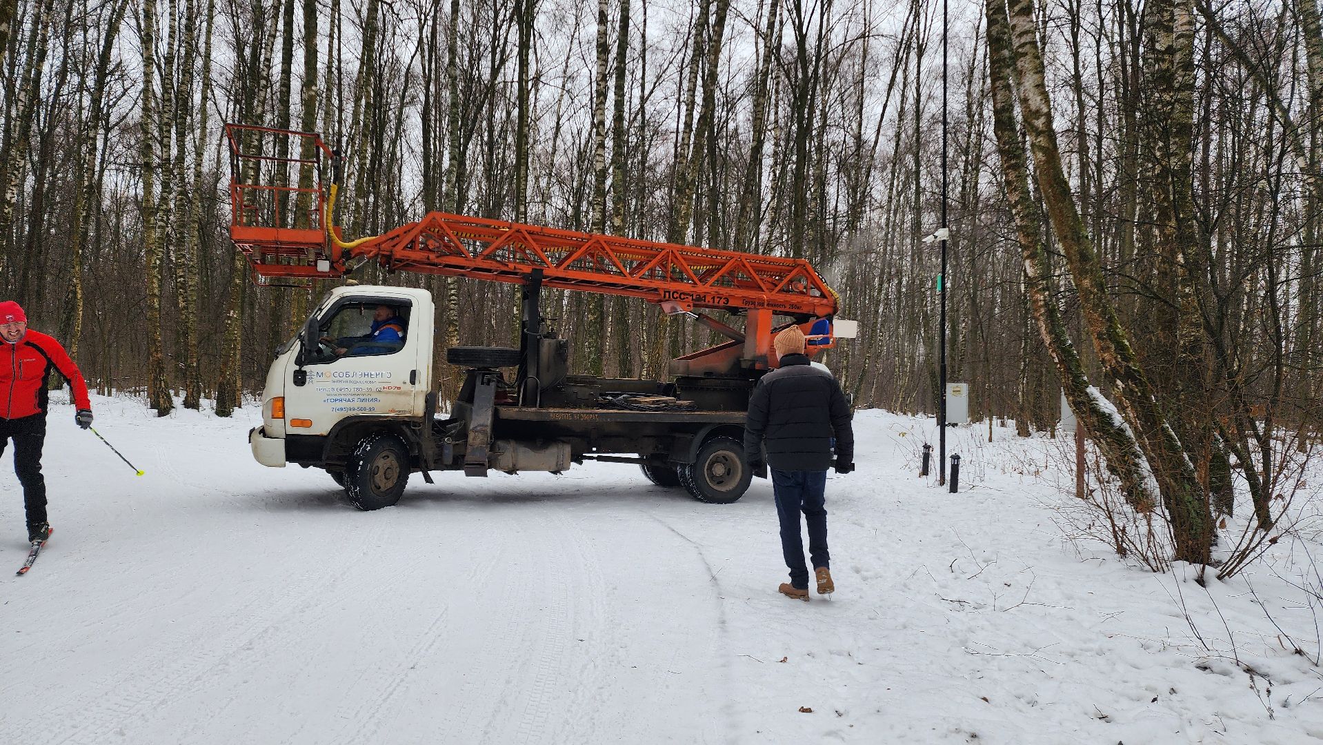 парк, парк городской лес, домодедово, жкх, благоустройство, подмосковье,