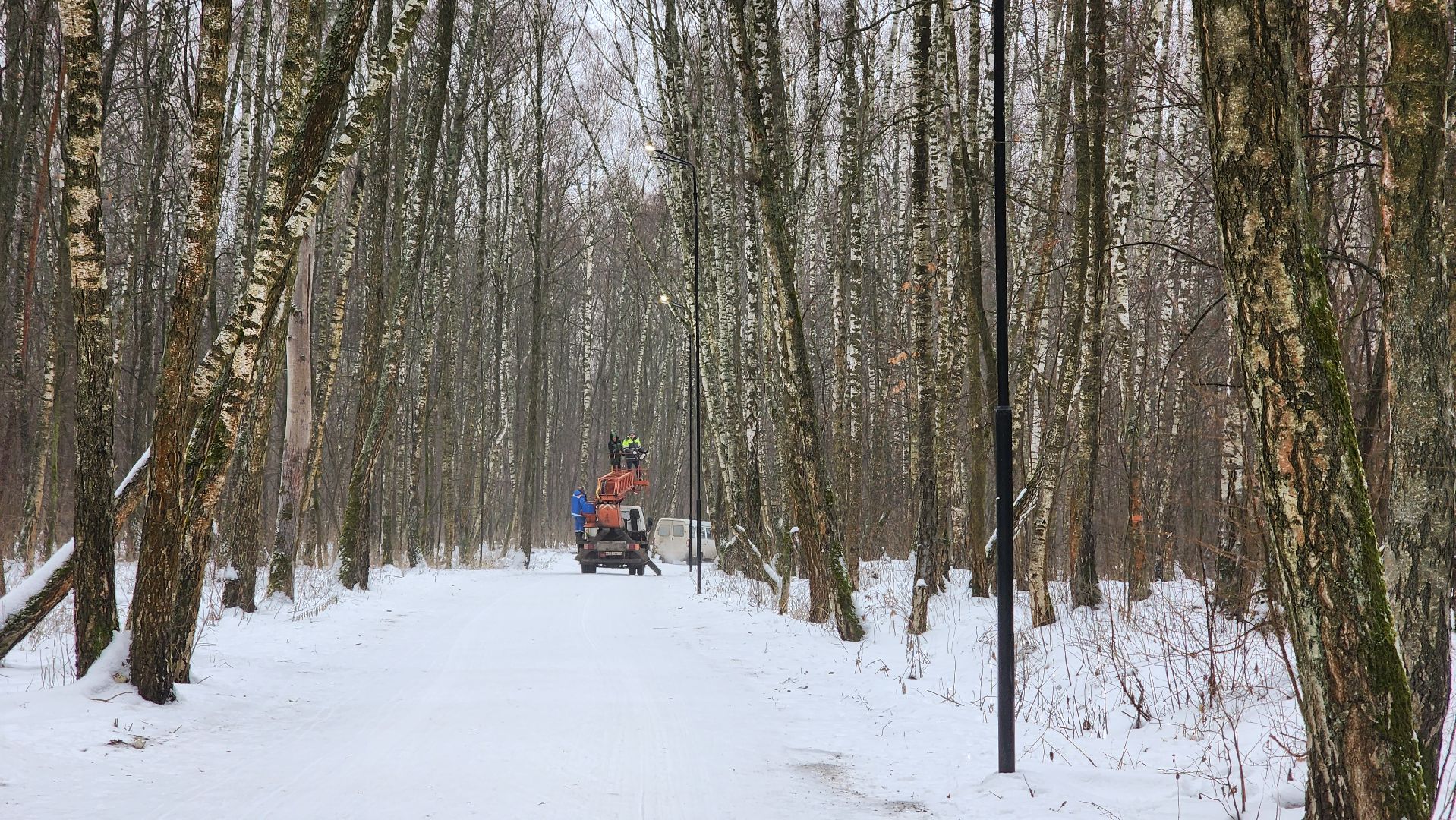 парк, парк городской лес, домодедово, жкх, благоустройство, подмосковье,