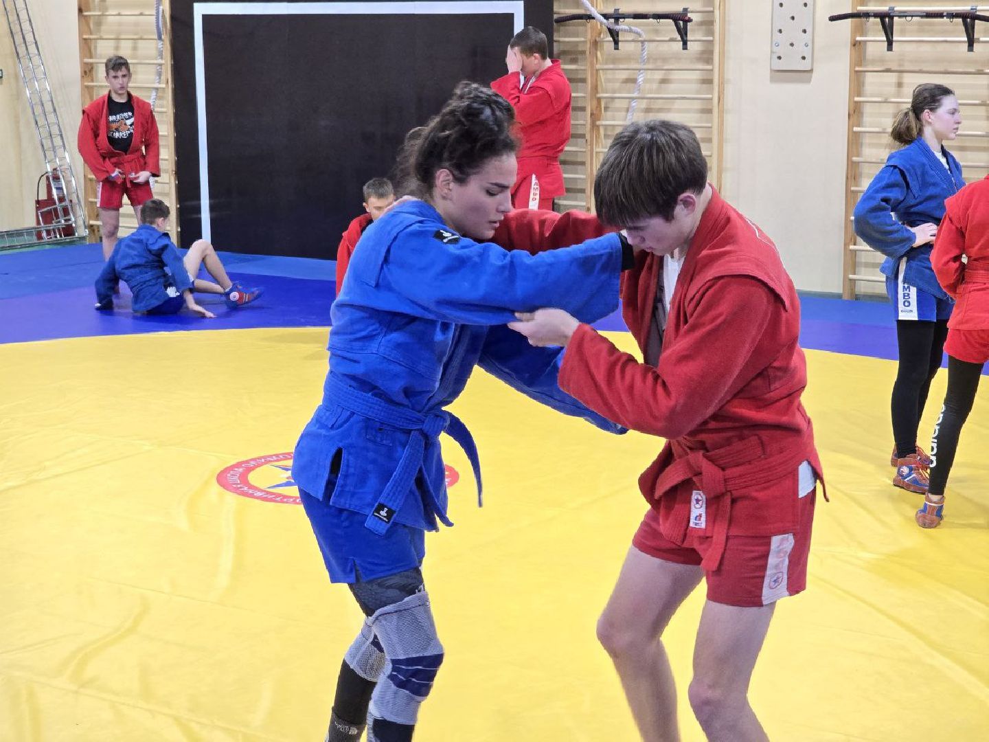 можайск, можайский муниципальный округ, подмосковье, спорт, спорт - это жизнь, карина черевань, чемпионка мира, самбо, джиу-джитсу, чемпионка мира по самбо, можайские спортсменки, чемпионат мира, готовится к соревнования,