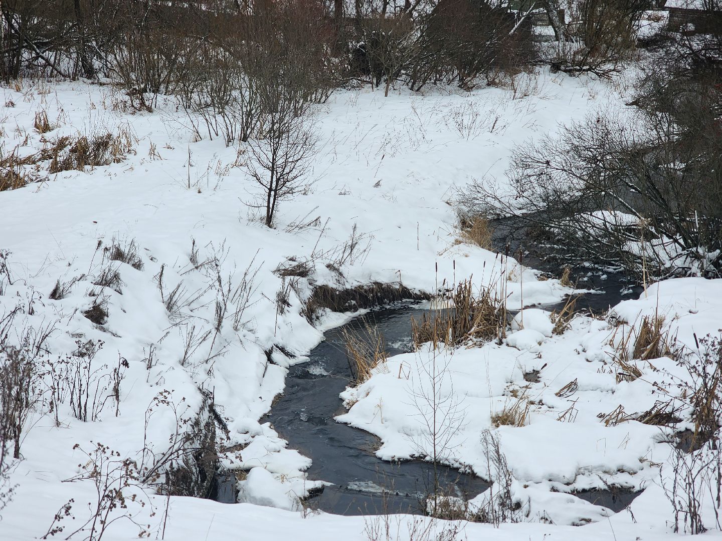 вертикалки, пушкино, мураново,