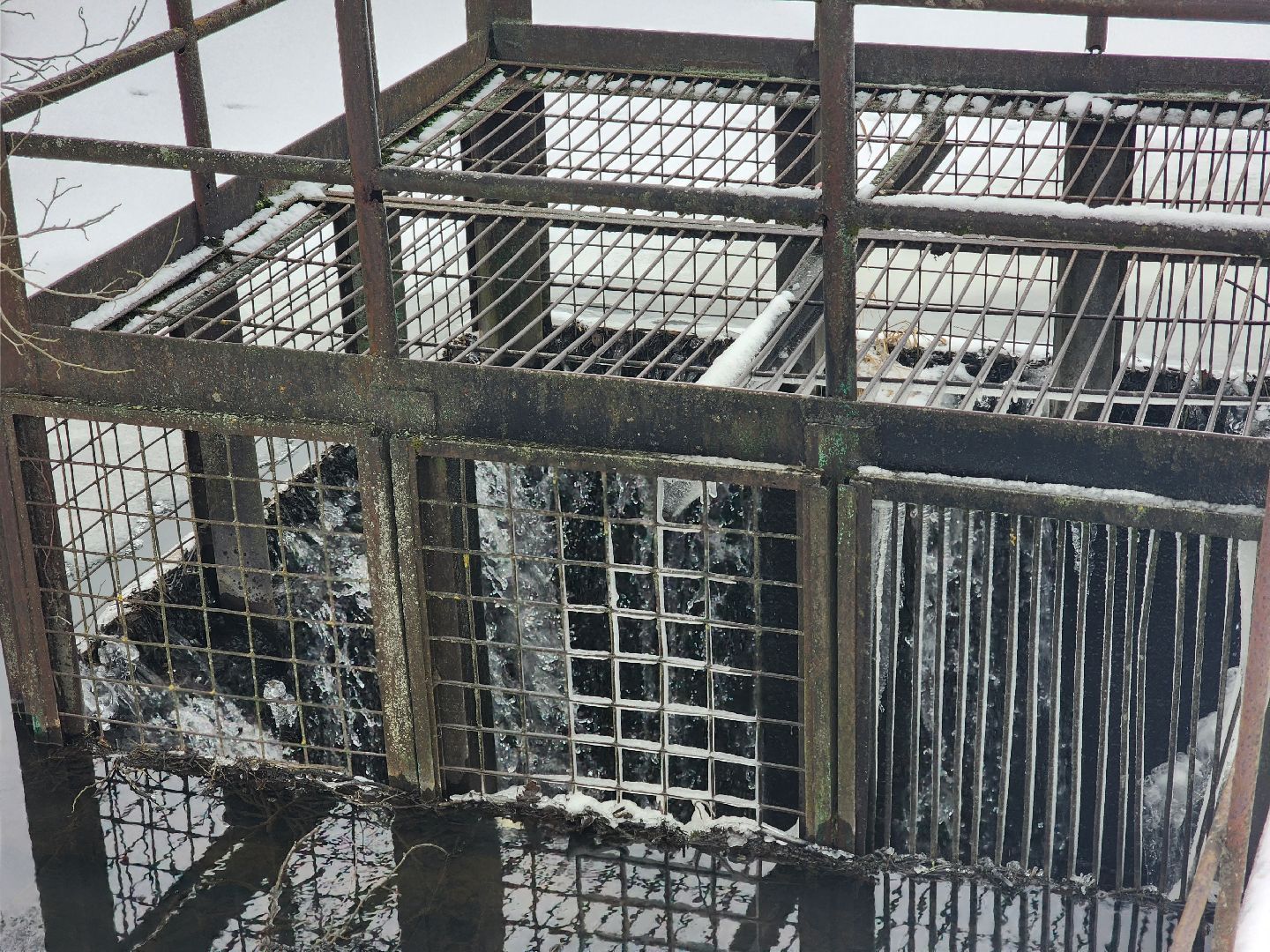 вертикалки, пушкино, мураново,