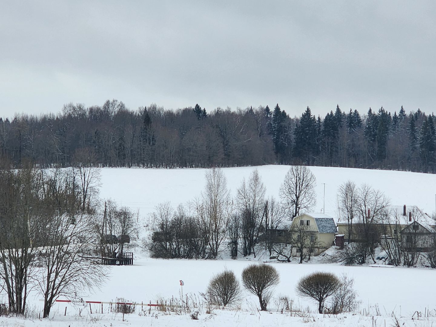 вертикалки, пушкино, мураново,
