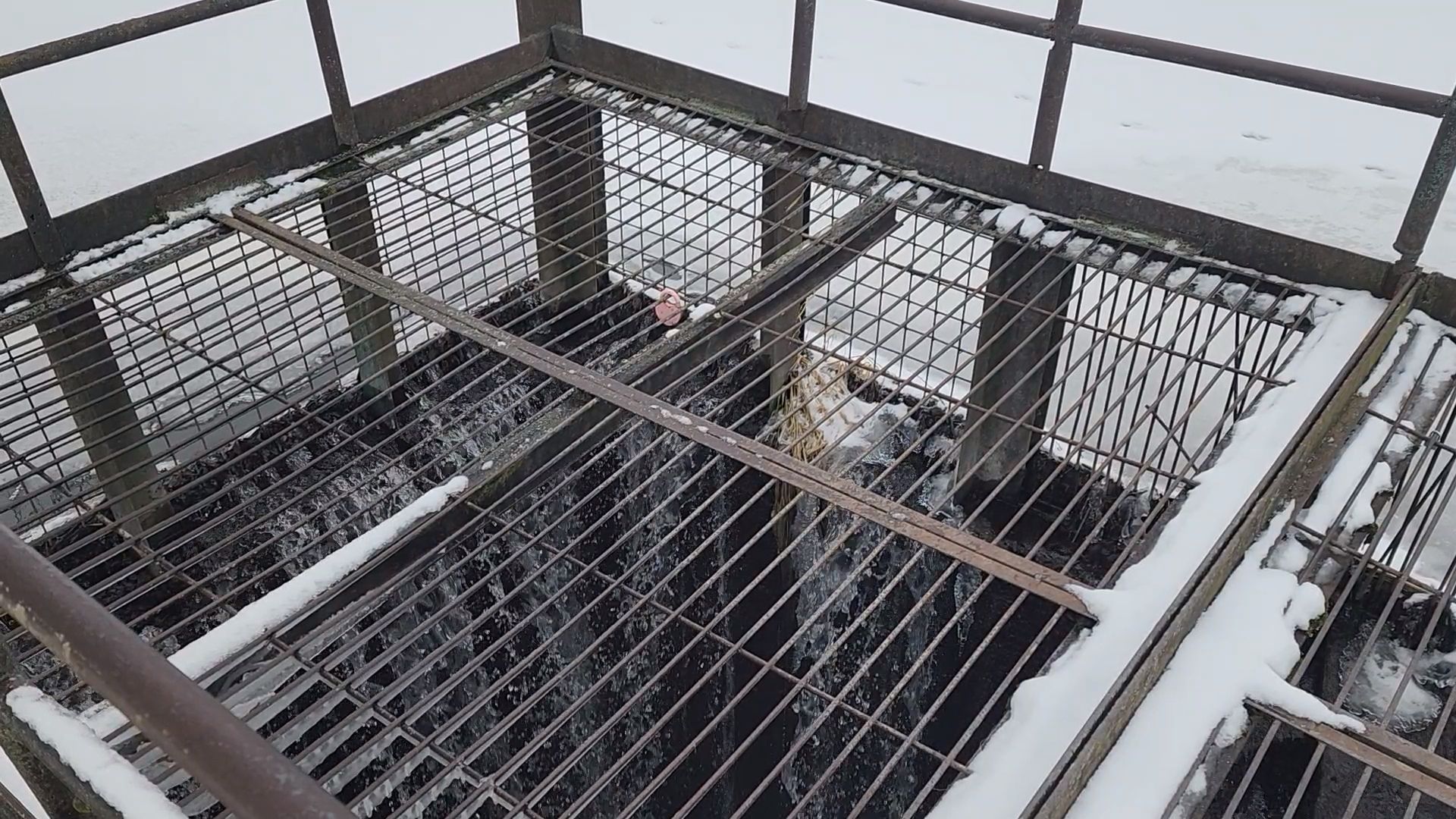 вертикалки, пушкино, мураново,