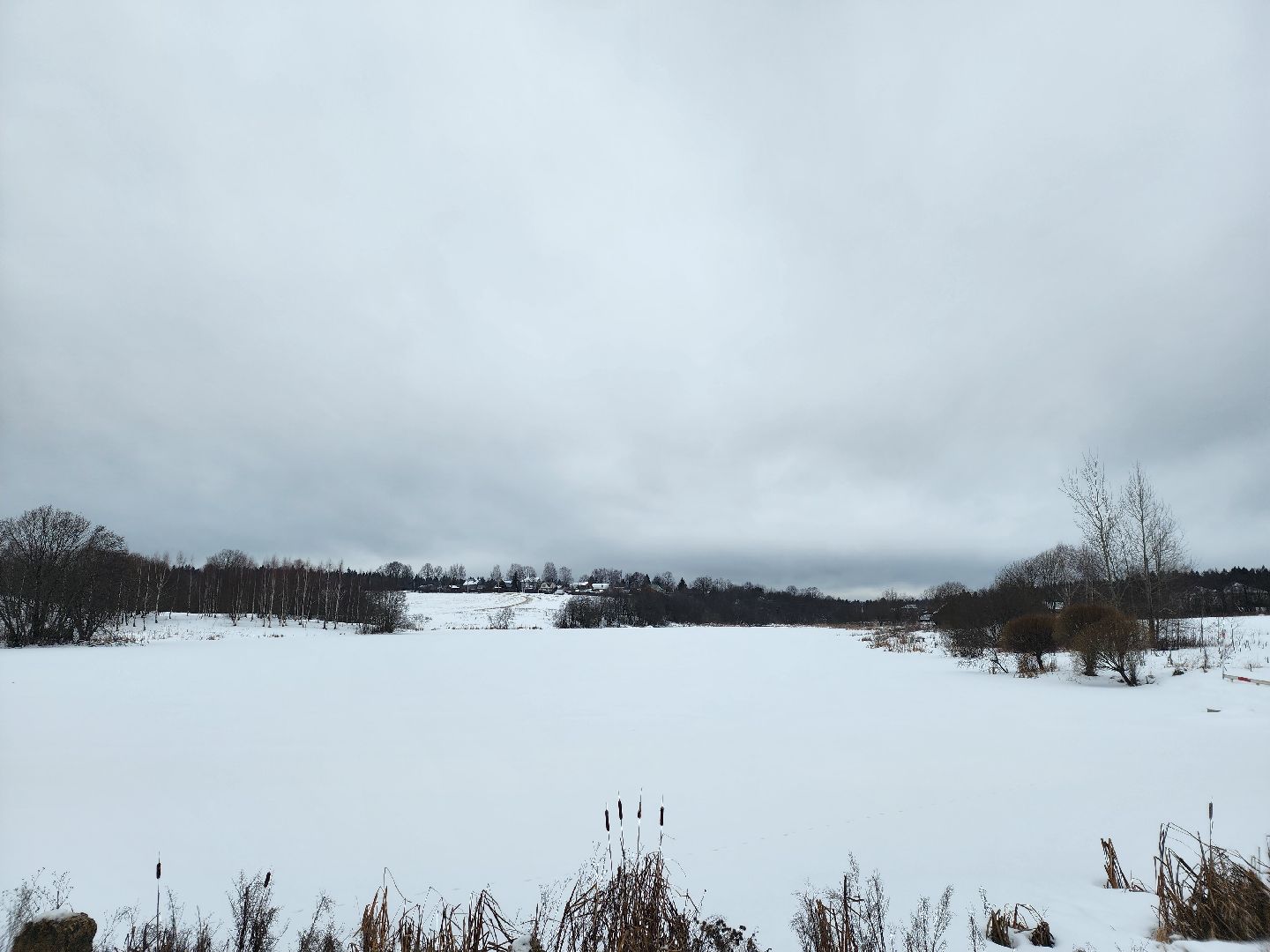 вертикалки, пушкино, мураново,