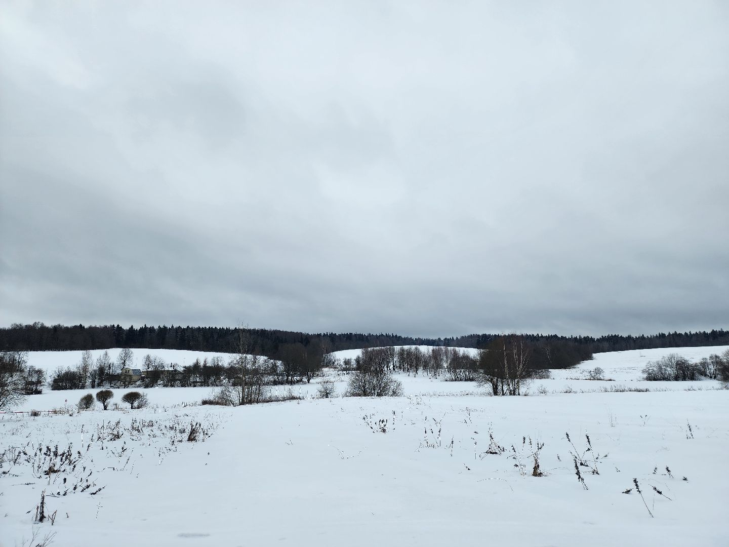 вертикалки, пушкино, мураново,