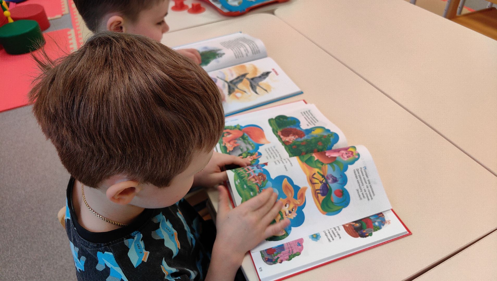 детский сад, детские группы, оснащение, площадка, зал, родители,