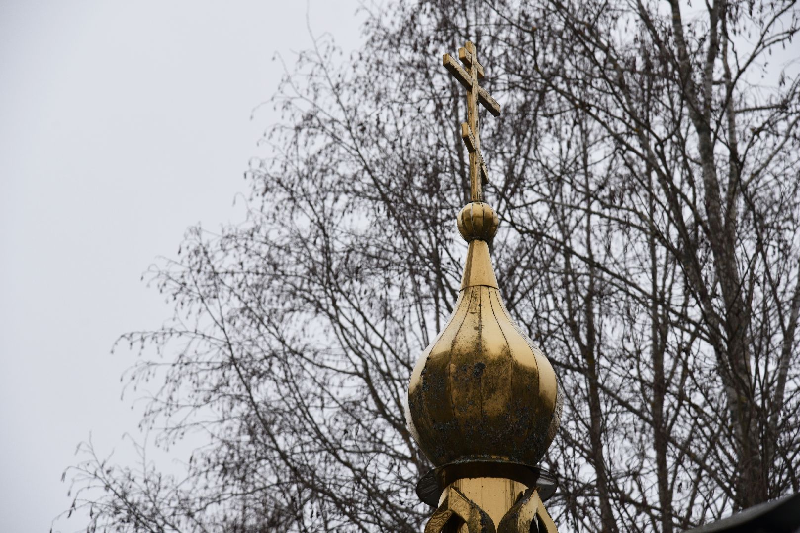 лотошино, микулино, крещение, купель, крещенские купания, крещенские купели,