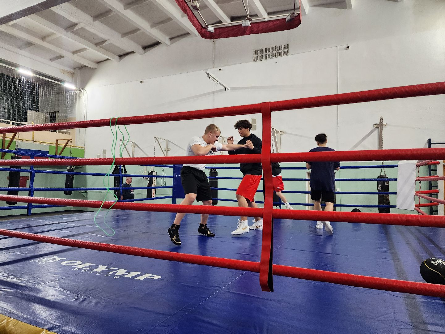 бокс, спорт в шатуре, соревнования по боксу,