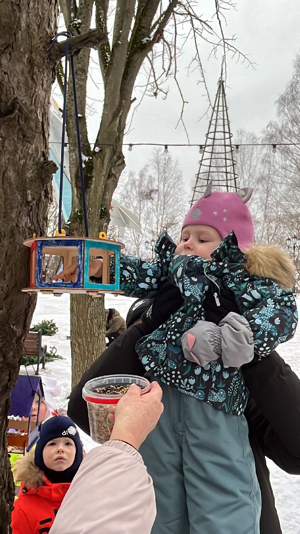 вертикалки, наро-фоминск, наро-фоминский городской округ, покорми птиц зимой, экологическая акция,вертикалка,