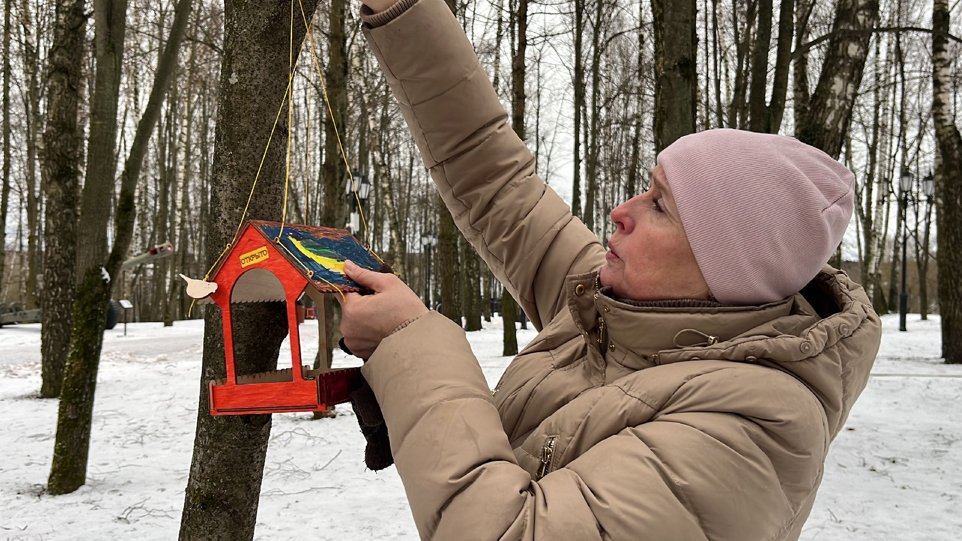 вертикалки, наро-фоминск, наро-фоминский городской округ, покорми птиц зимой, экологическая акция,вертикалка,