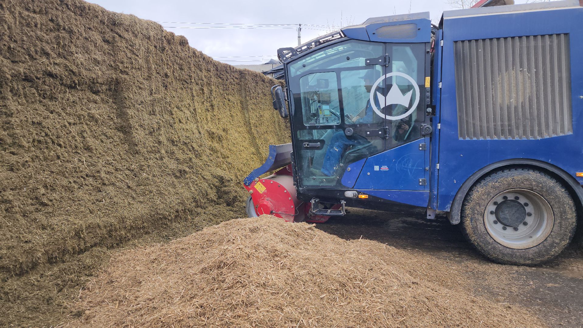 заготовка кормов, сельское хозяйство, АО Ногинское, рабочий поселок Обухово, Богородский городской округ,
