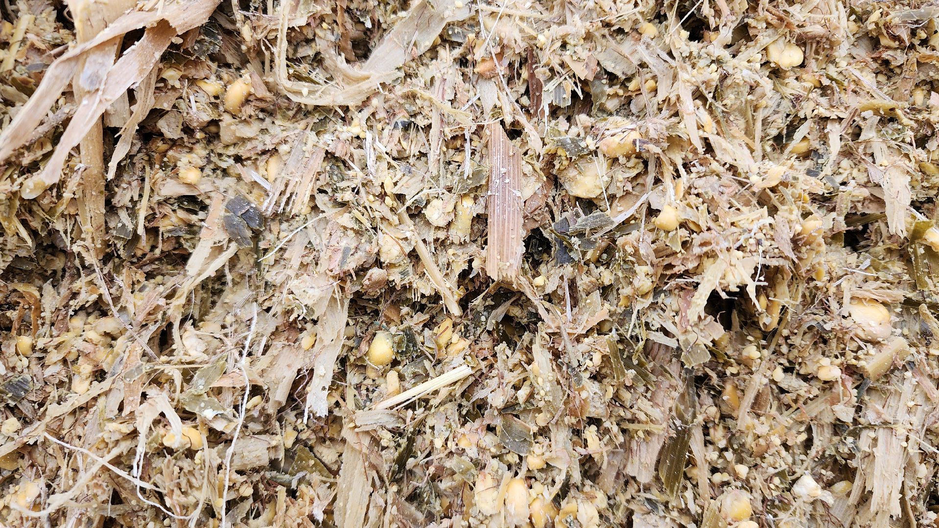 заготовка кормов, сельское хозяйство, АО Ногинское, рабочий поселок Обухово, Богородский городской округ,