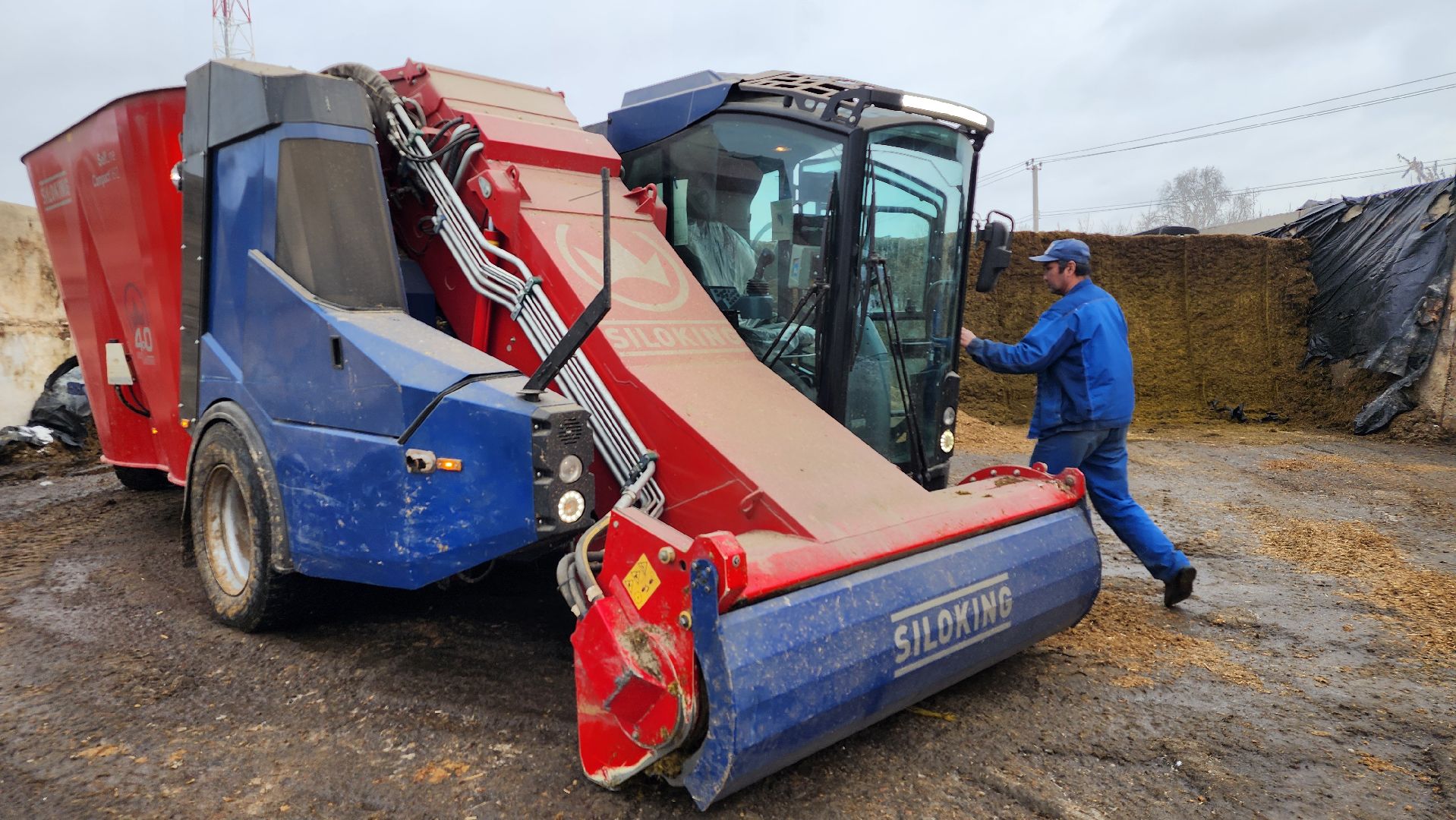 заготовка кормов, сельское хозяйство, АО Ногинское, рабочий поселок Обухово, Богородский городской округ,
