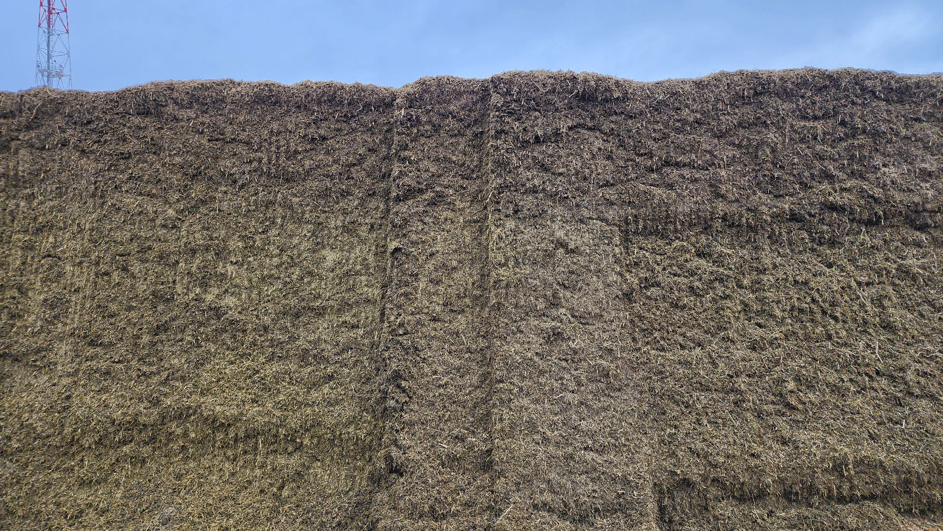 заготовка кормов, сельское хозяйство, АО Ногинское, рабочий поселок Обухово, Богородский городской округ,