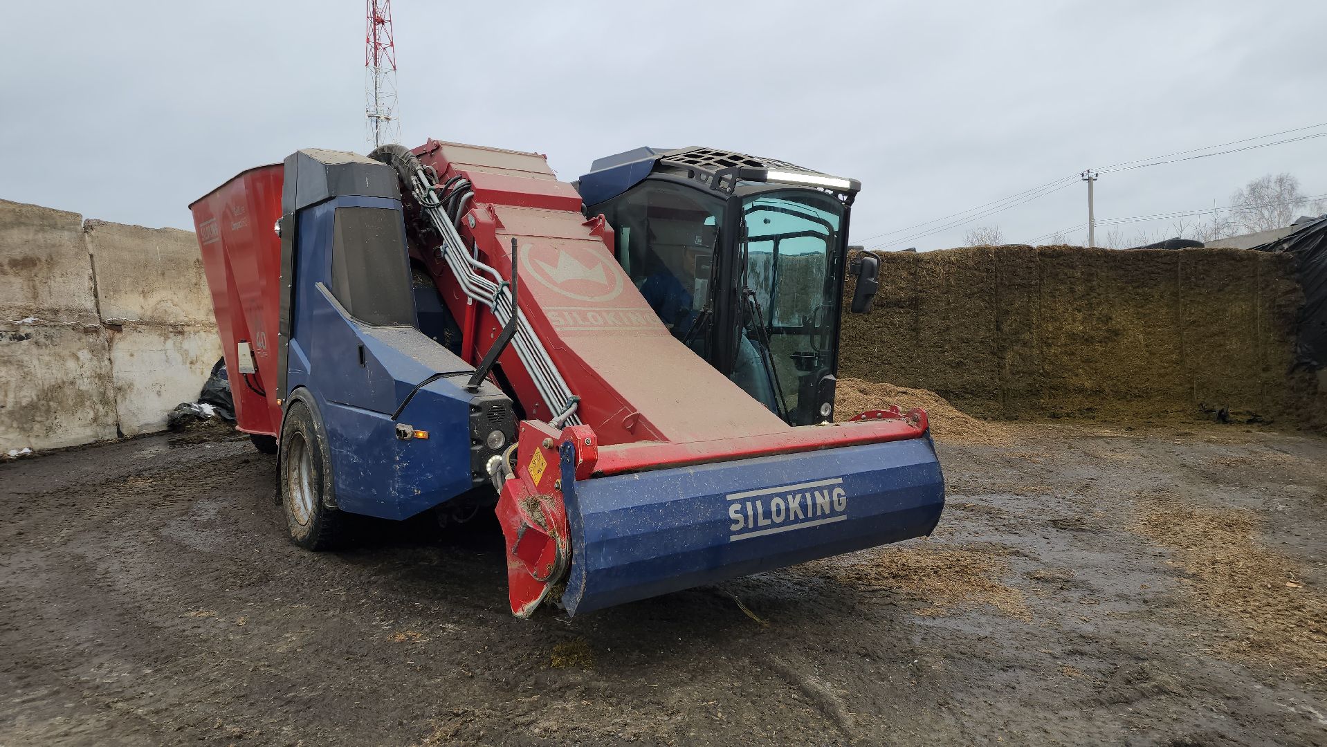 заготовка кормов, сельское хозяйство, АО Ногинское, рабочий поселок Обухово, Богородский городской округ,