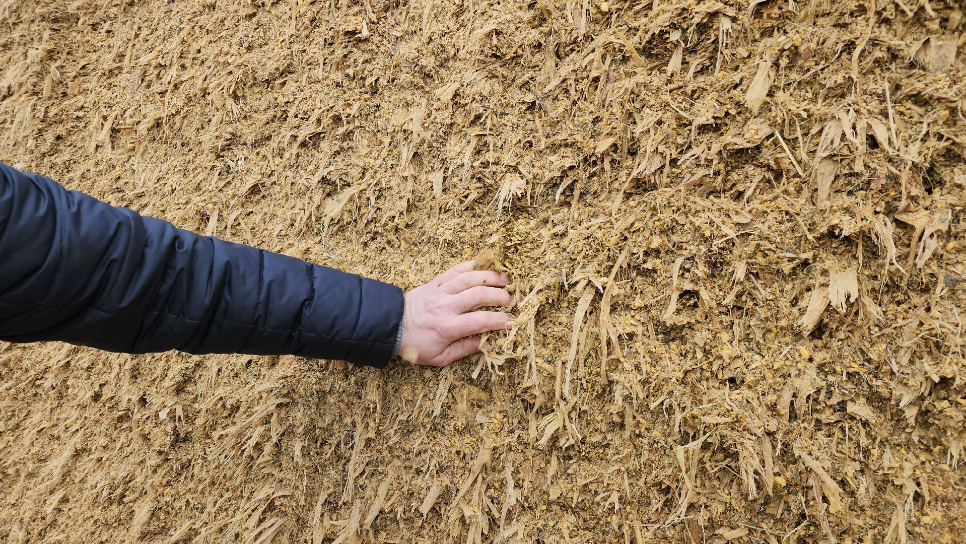 заготовка кормов, сельское хозяйство, АО Ногинское, рабочий поселок Обухово, Богородский городской округ,