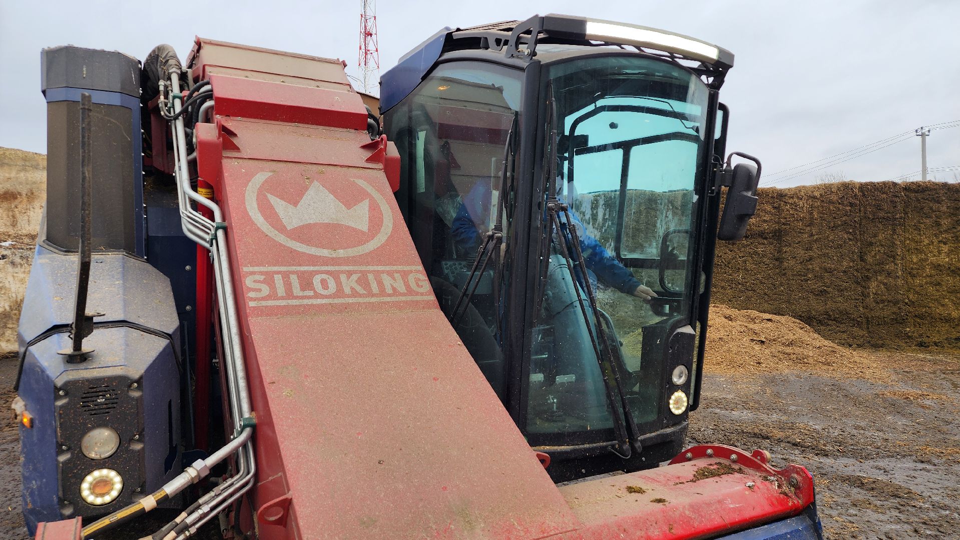 заготовка кормов, сельское хозяйство, АО Ногинское, рабочий поселок Обухово, Богородский городской округ,