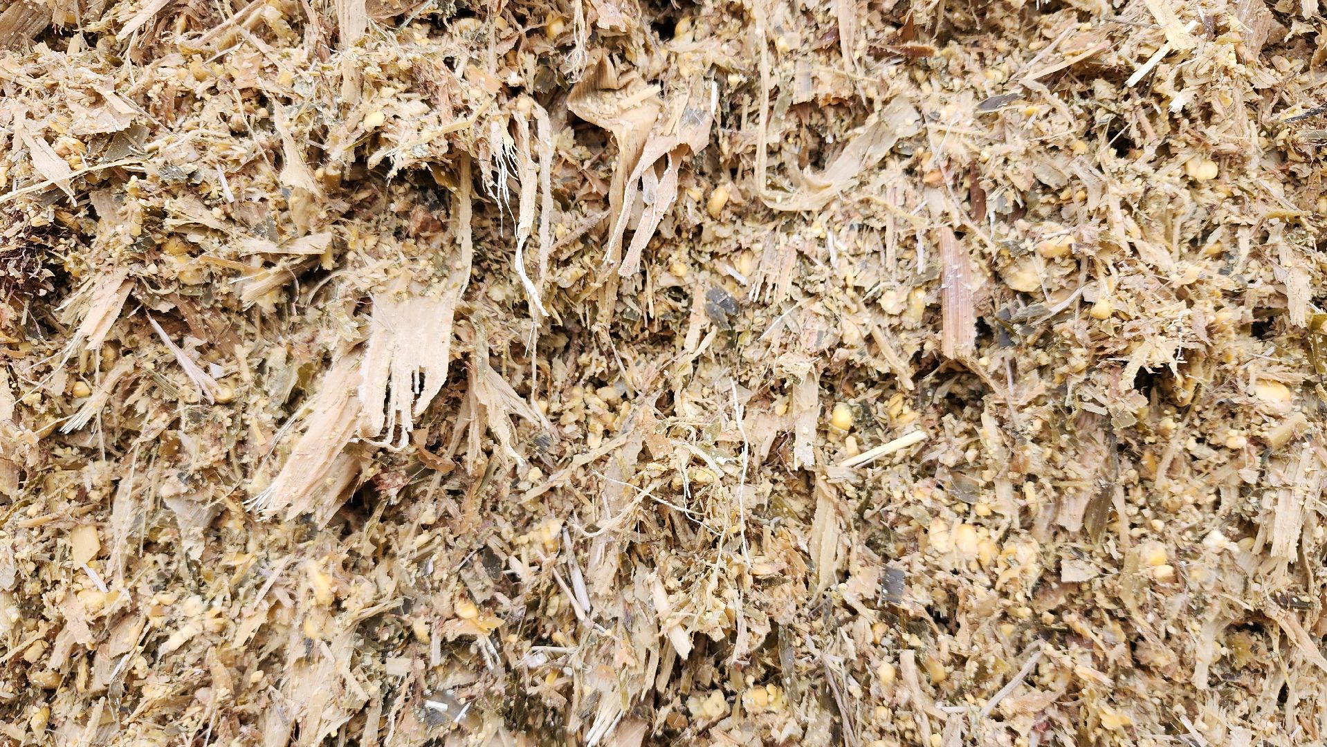 заготовка кормов, сельское хозяйство, АО Ногинское, рабочий поселок Обухово, Богородский городской округ,