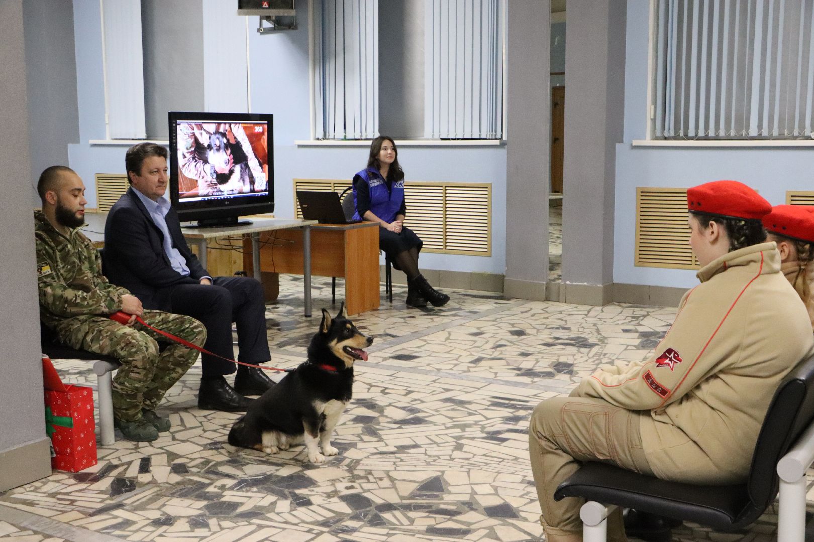 боец сво, боевая собака ника, центральный дом культуры, молодая гвардия, глава серебряных прудов,