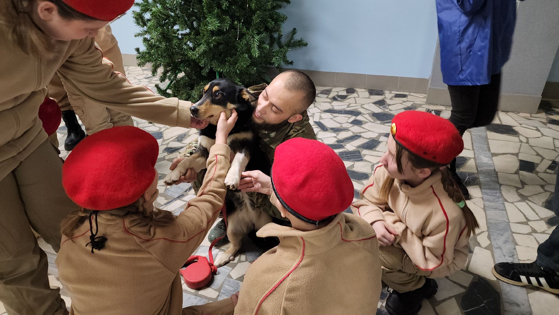 боец сво, боевая собака ника, центральный дом культуры, молодая гвардия, глава серебряных прудов,