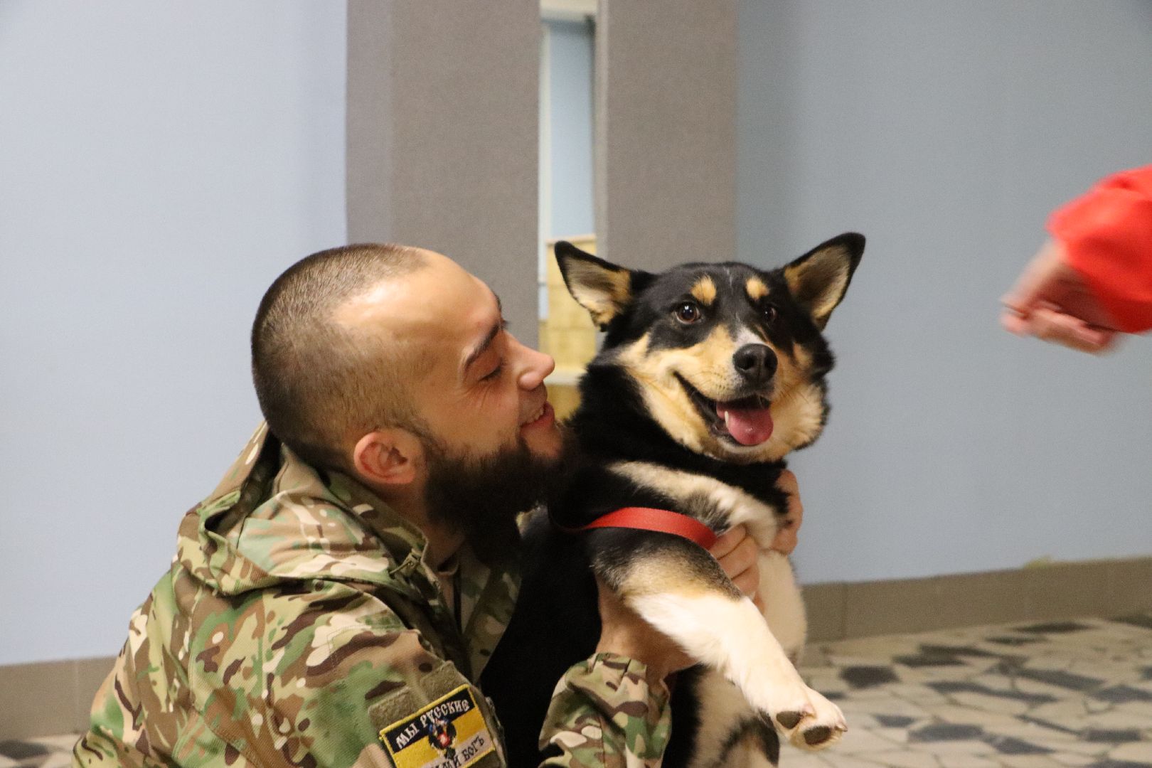 боец сво, боевая собака ника, центральный дом культуры, молодая гвардия, глава серебряных прудов,
