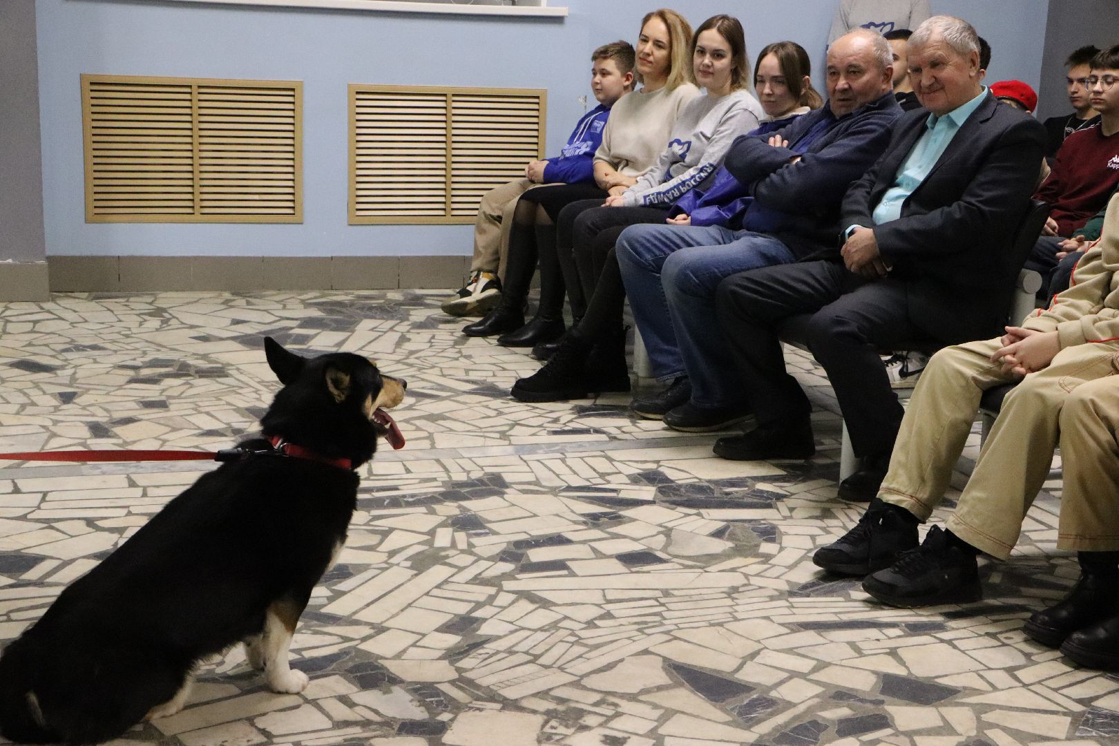 боец сво, боевая собака ника, центральный дом культуры, молодая гвардия, глава серебряных прудов,