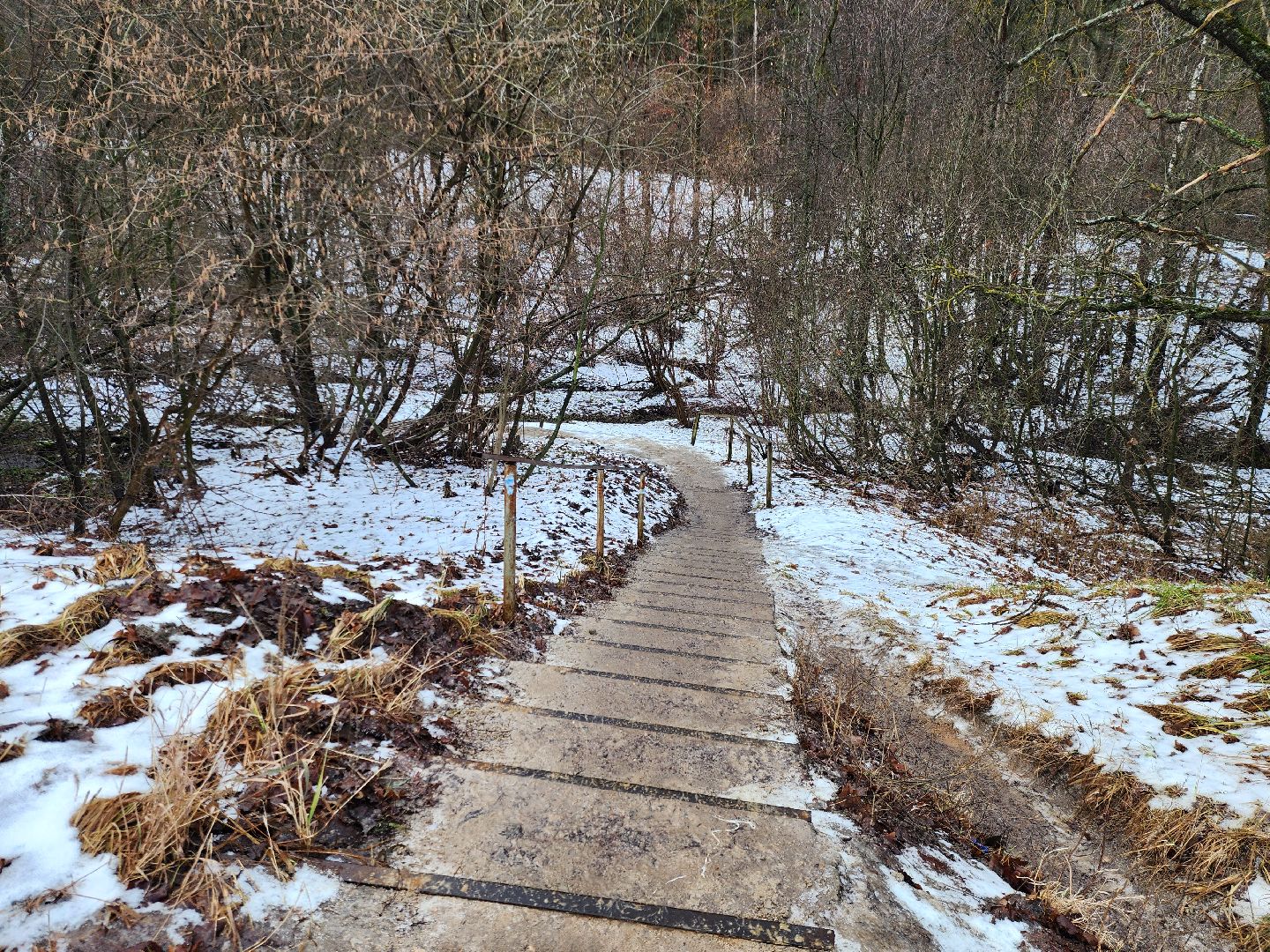луховицы, крещение господне, вертикалки,