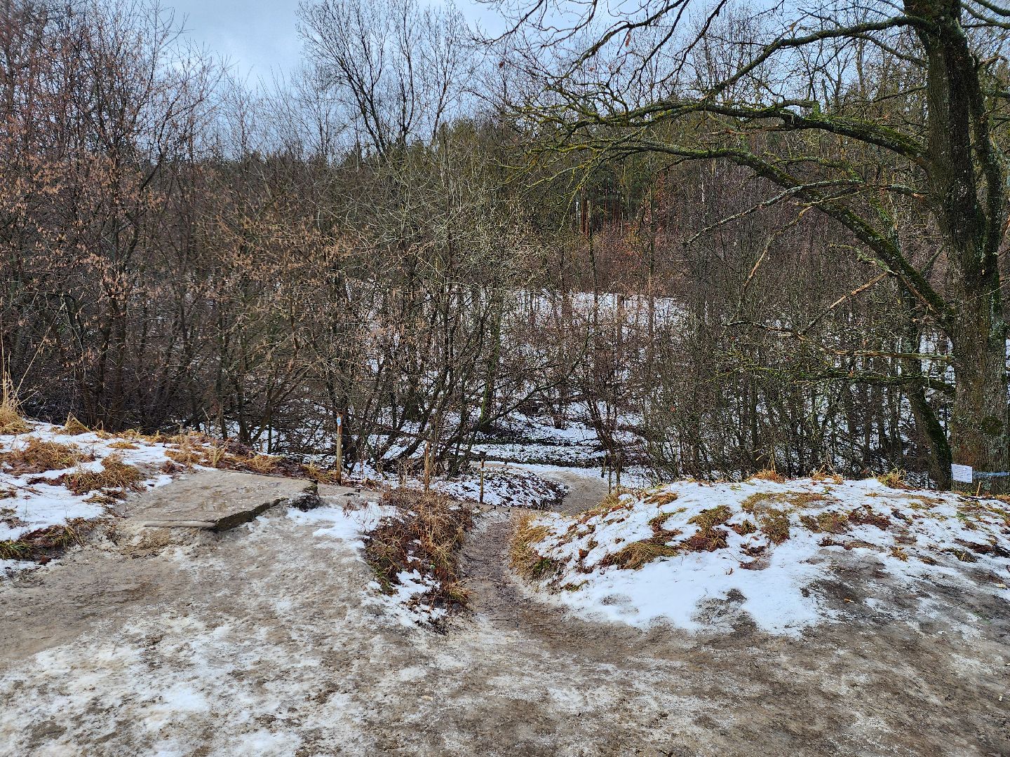 луховицы, крещение господне, вертикалки,