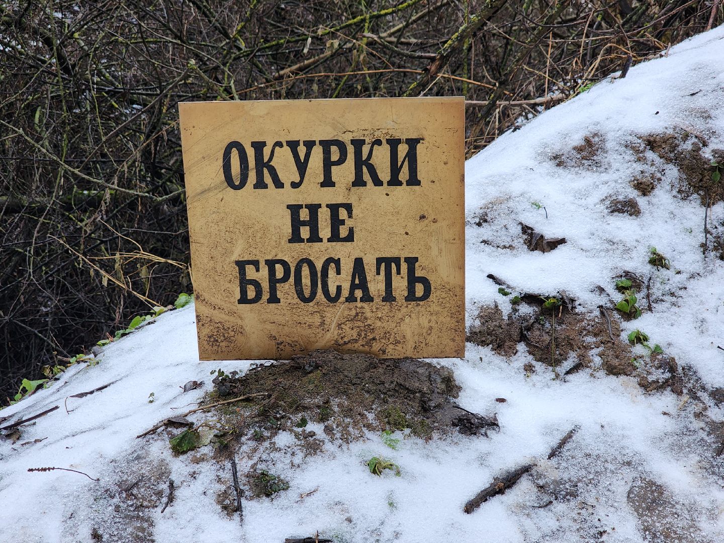 луховицы, крещение господне, вертикалки,