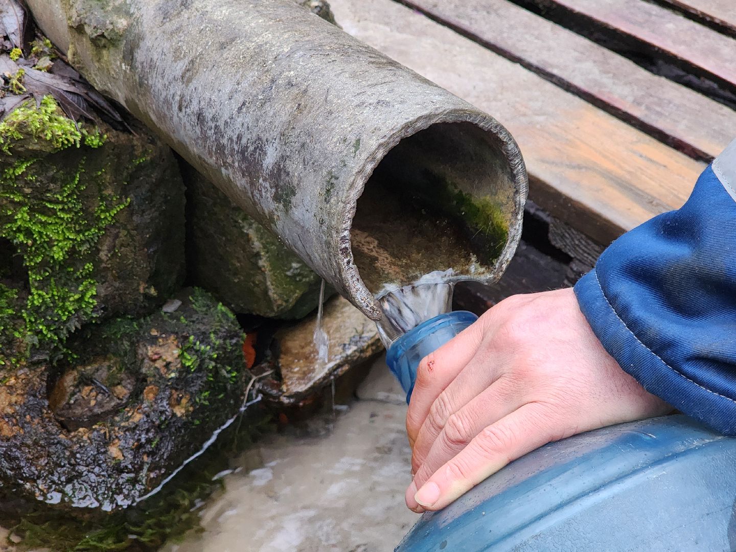 луховицы, крещение господне, вертикалки,