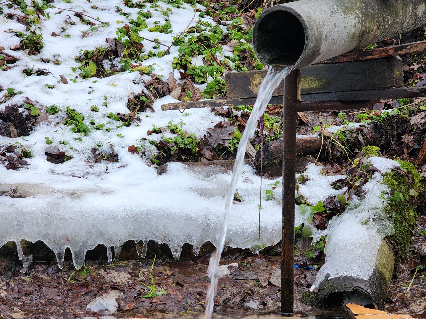 луховицы, крещение господне, вертикалки,