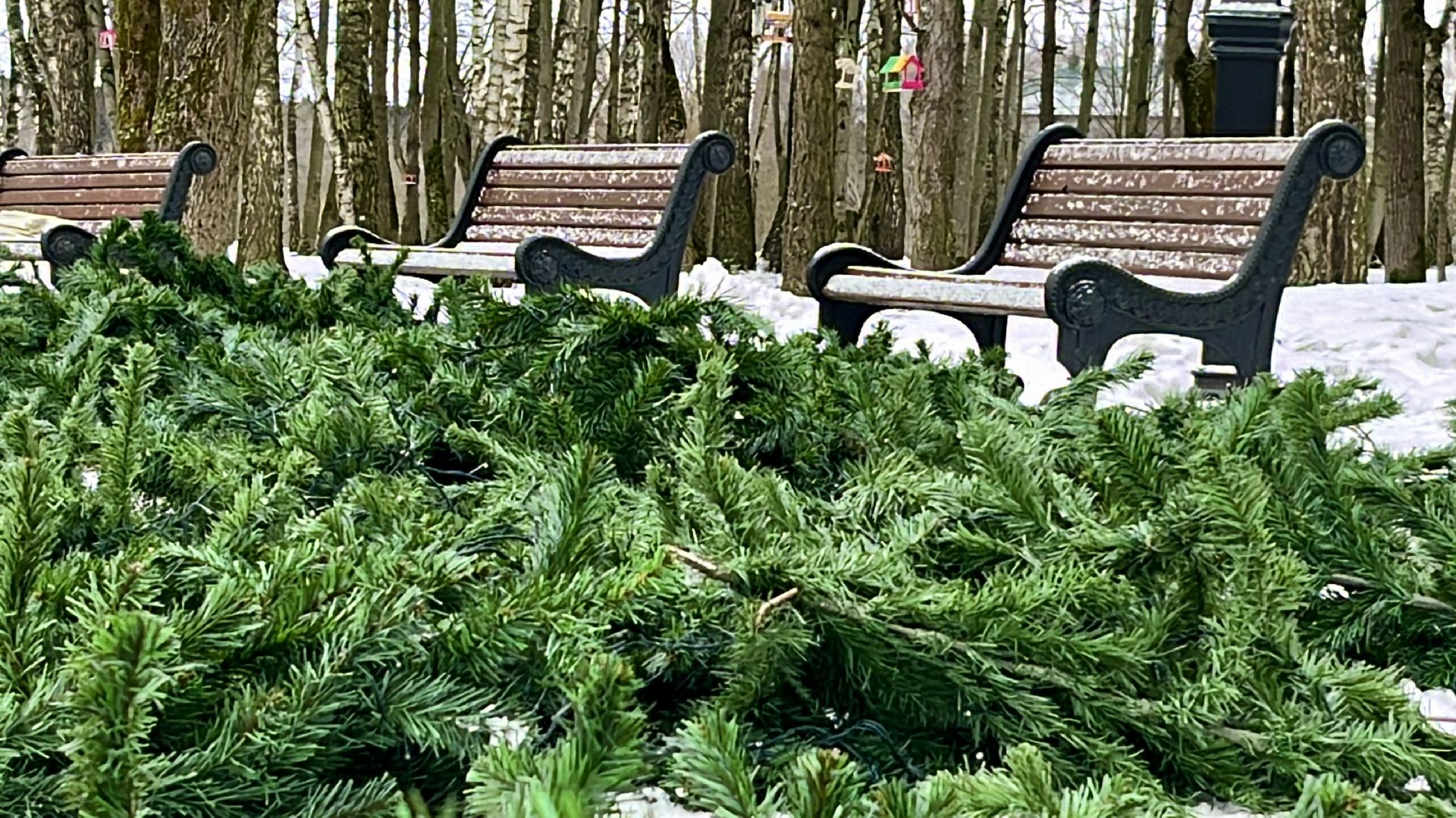 наро-фоминск, наро-фоминский городской округ, новый год, вертикалки,зима в подмосковье,