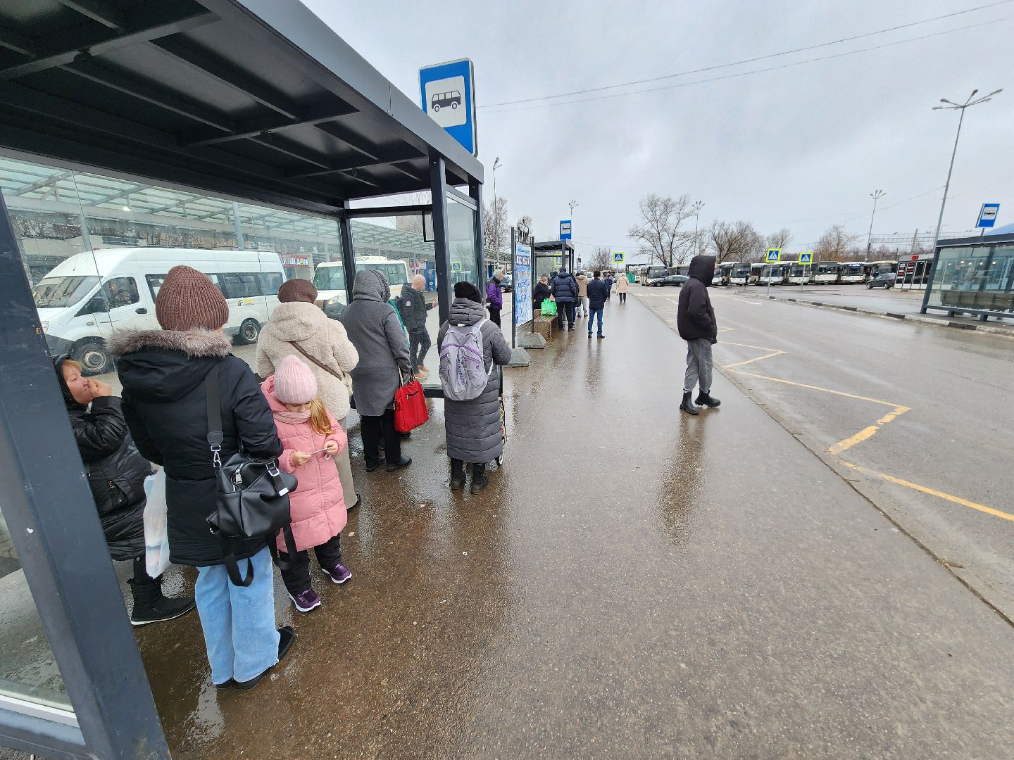 Чехов, Крещение, крещенские купания, купели, как добраться до купелей, автобусы, общественный транспорт, расписание автобусов, автобус 25, автобус 39,