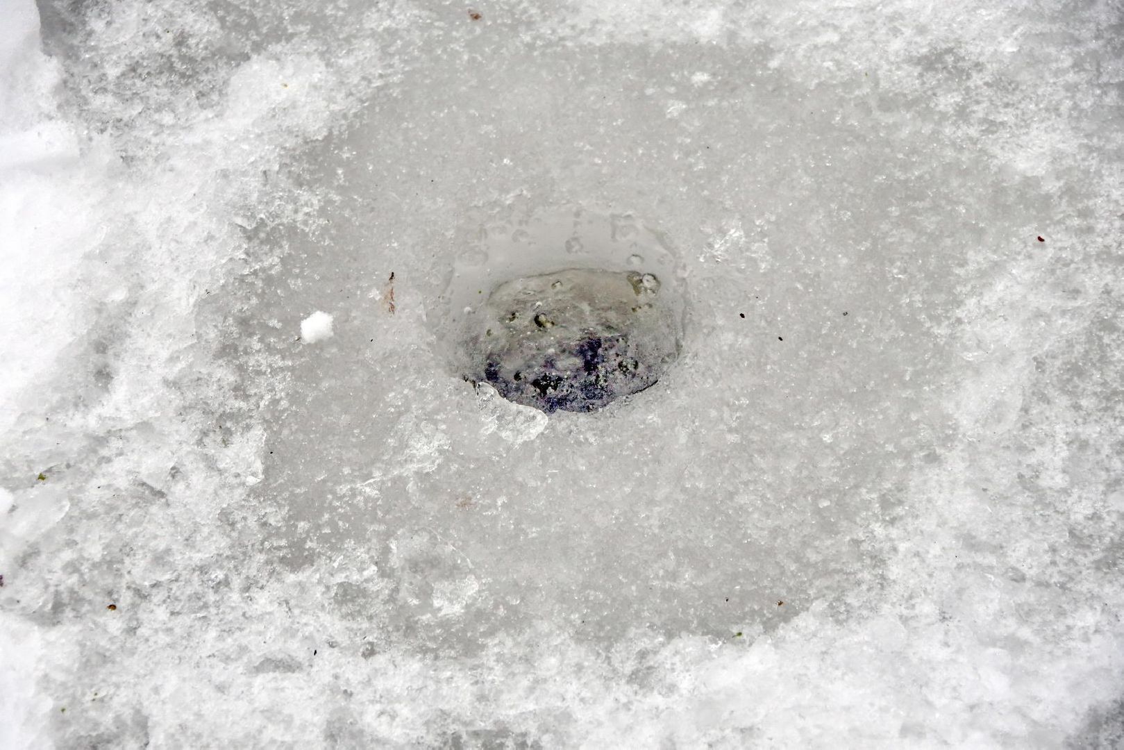 вертикалки, крещенская купель, Крещение Господне, Власиха среднее озеро, Власиха Крещение, Власиха купель на озере,