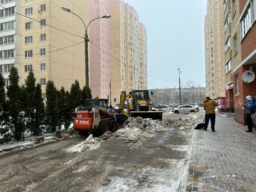 Фрязино, общество