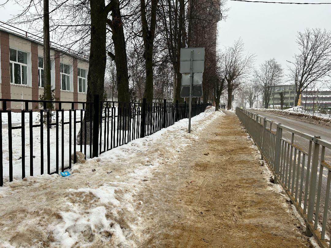 Фрязино, общество