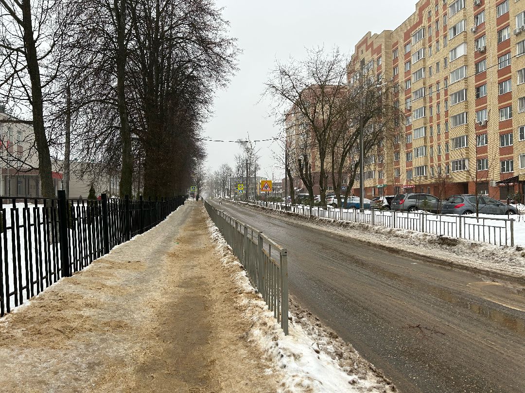 Фрязино, общество