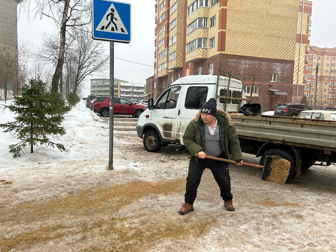 Фрязино, общество