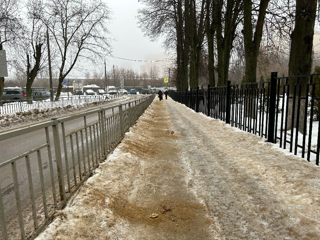 Фрязино, общество