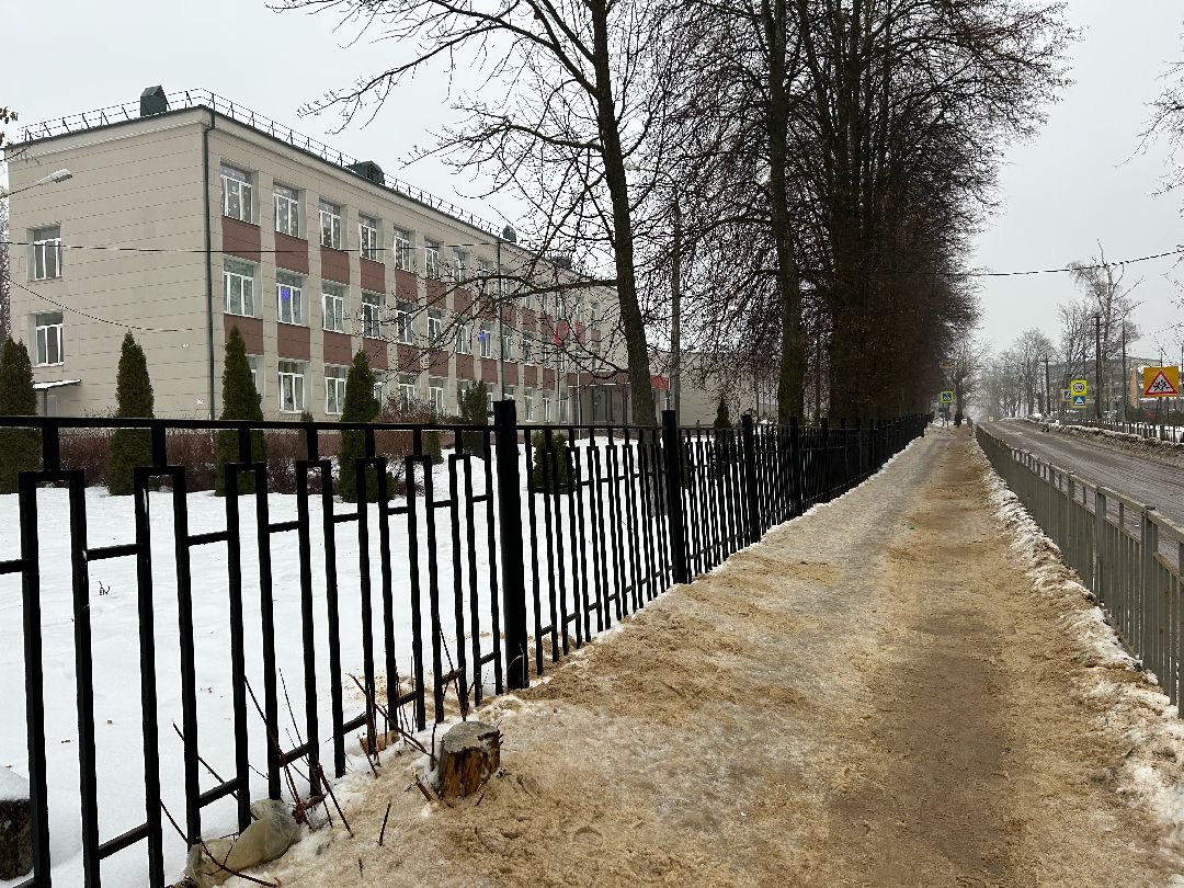 Фрязино, общество