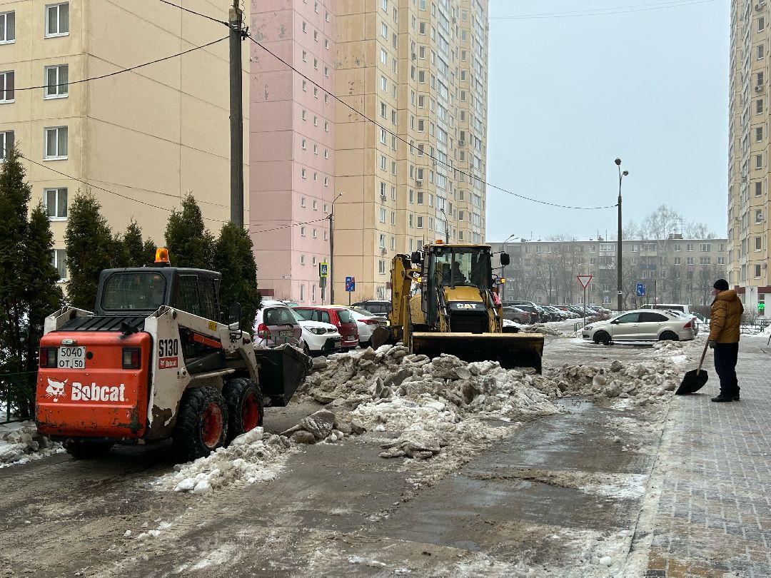 Фрязино, общество