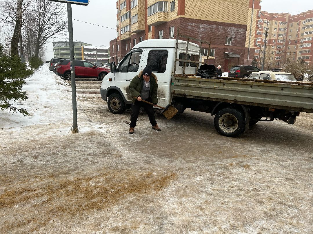 Фрязино, общество