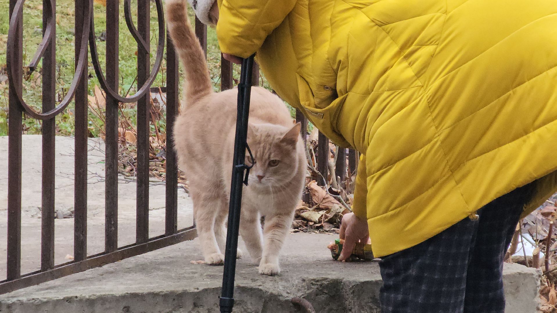 кашира, ремонт лифтов, лифтовое оборудование, многоквартирные дома, вертикалки,