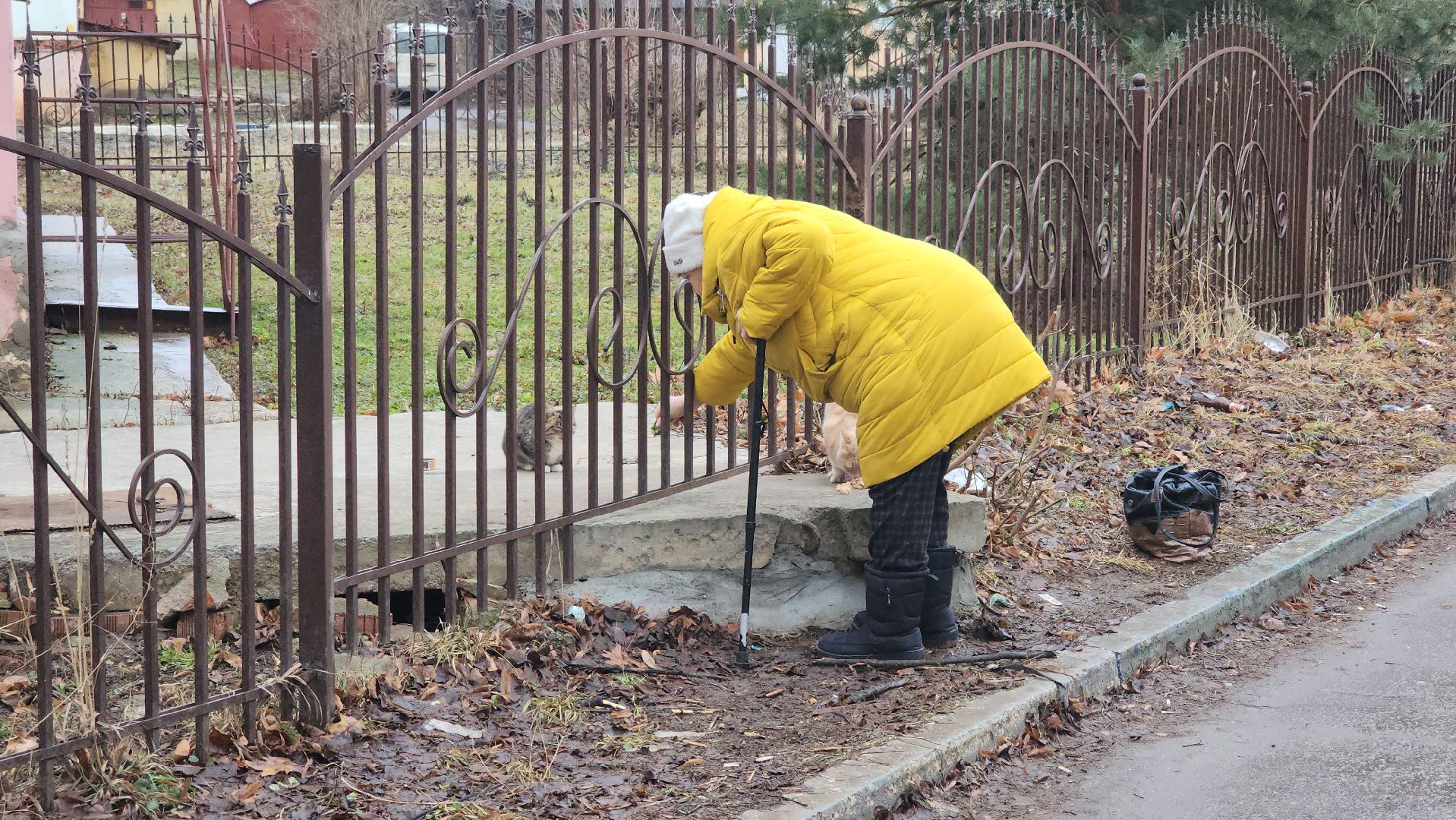 кашира, ремонт лифтов, лифтовое оборудование, многоквартирные дома, вертикалки,