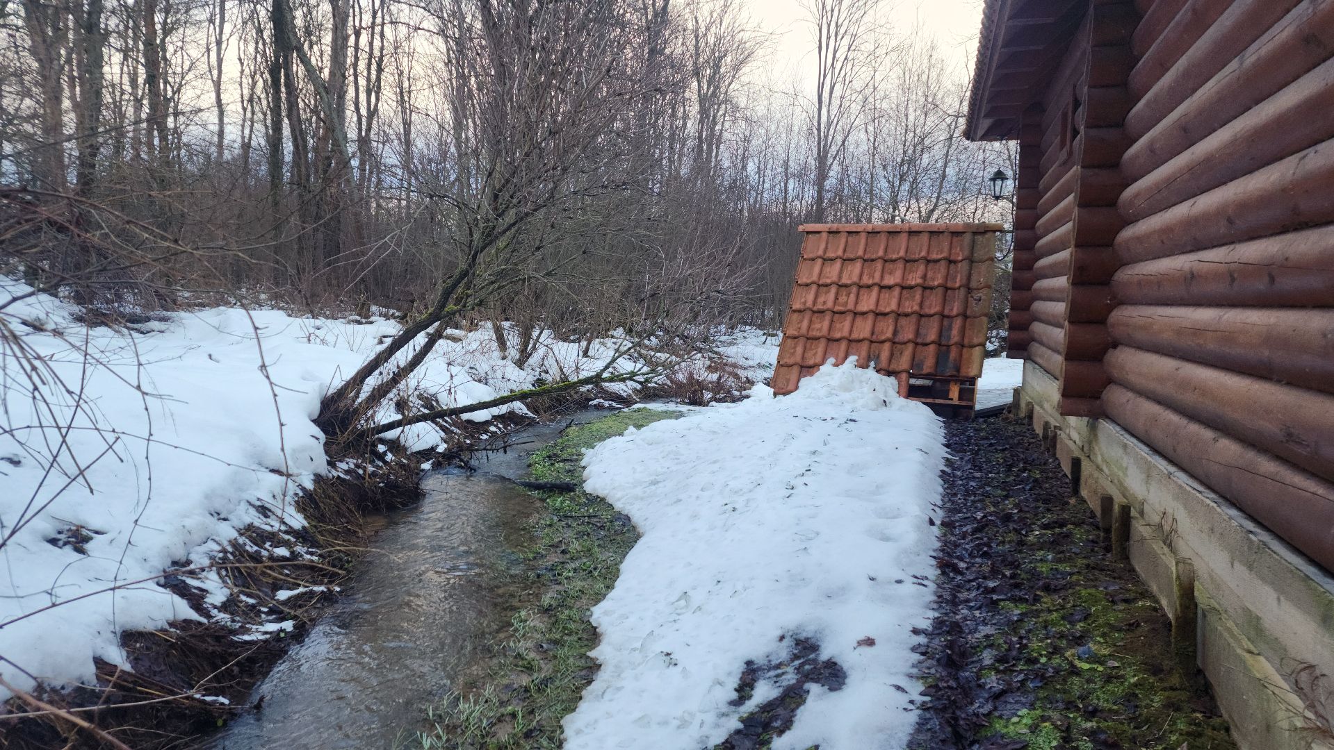 крещение, купели, волоколамск, спирово, вертикалки,