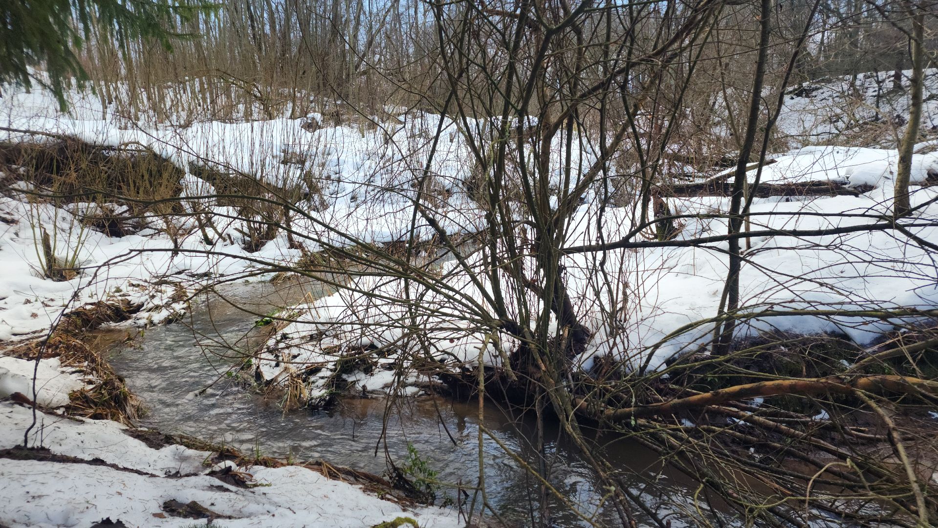 крещение, купели, волоколамск, спирово, вертикалки,