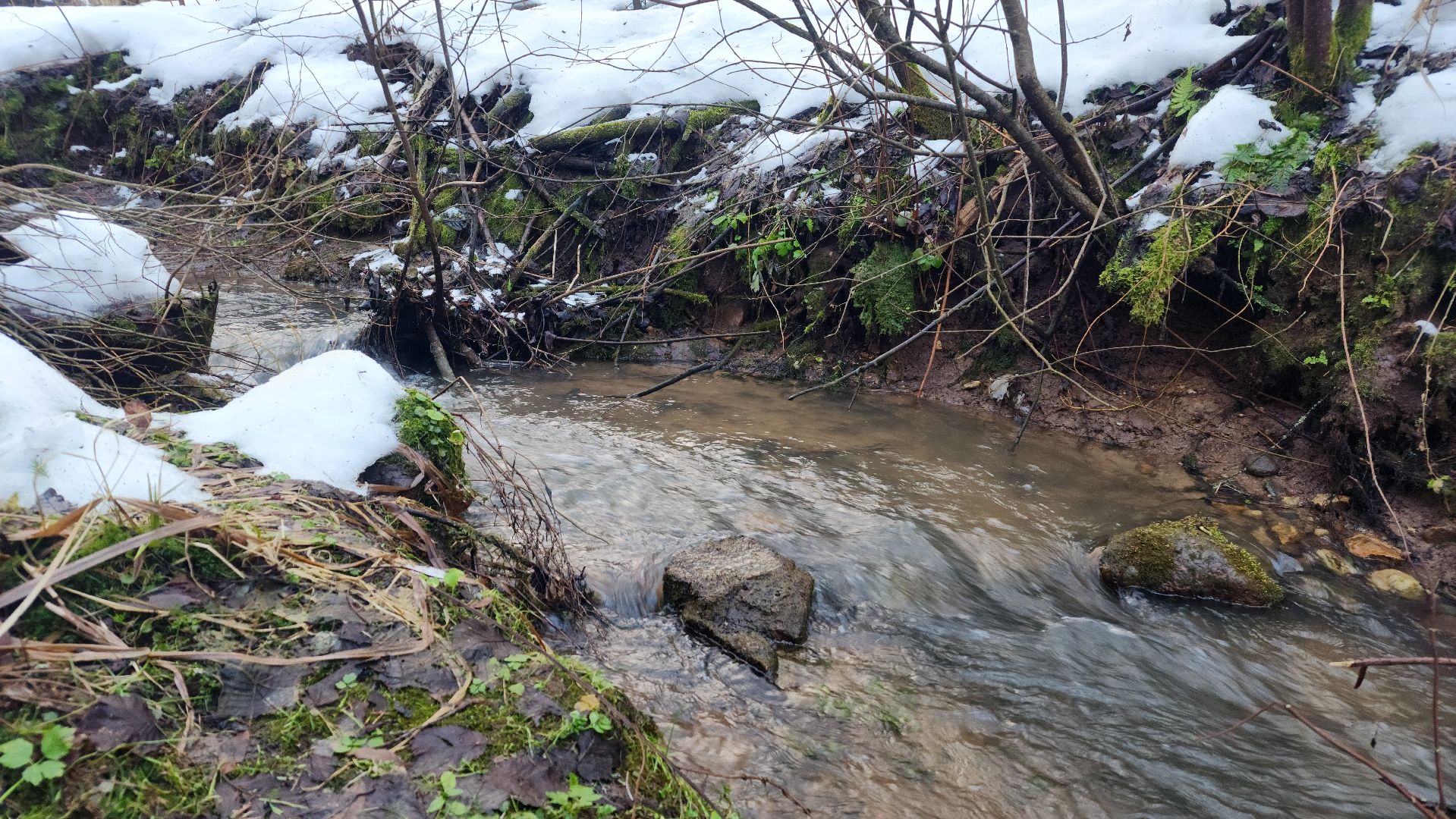 крещение, купели, волоколамск, спирово, вертикалки,